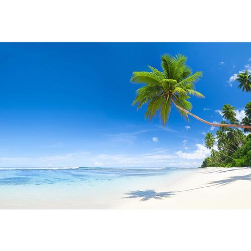 《77777888888管家精准管家婆全面释义，7777788888精准管家婆传真论坛权威解释与落实指南，警惕虚假宣传陷阱》