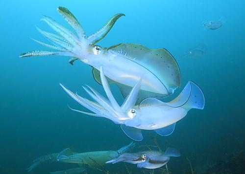 77778888精准管家婆,7777888888管家婆免费,7777788888管家婆老家凤凰网,定制化方案执行_完美版34.475