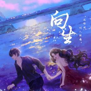 策略实施流程图