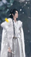 精准生肖表解读