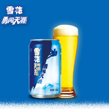 雪花啤酒 勇闯天涯 8度330ml*24听罐装
